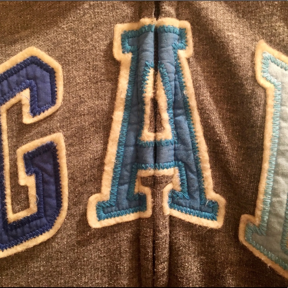 BabyGap Sherpa Lined Logo Hoodie 4T - Picture 4 of 4